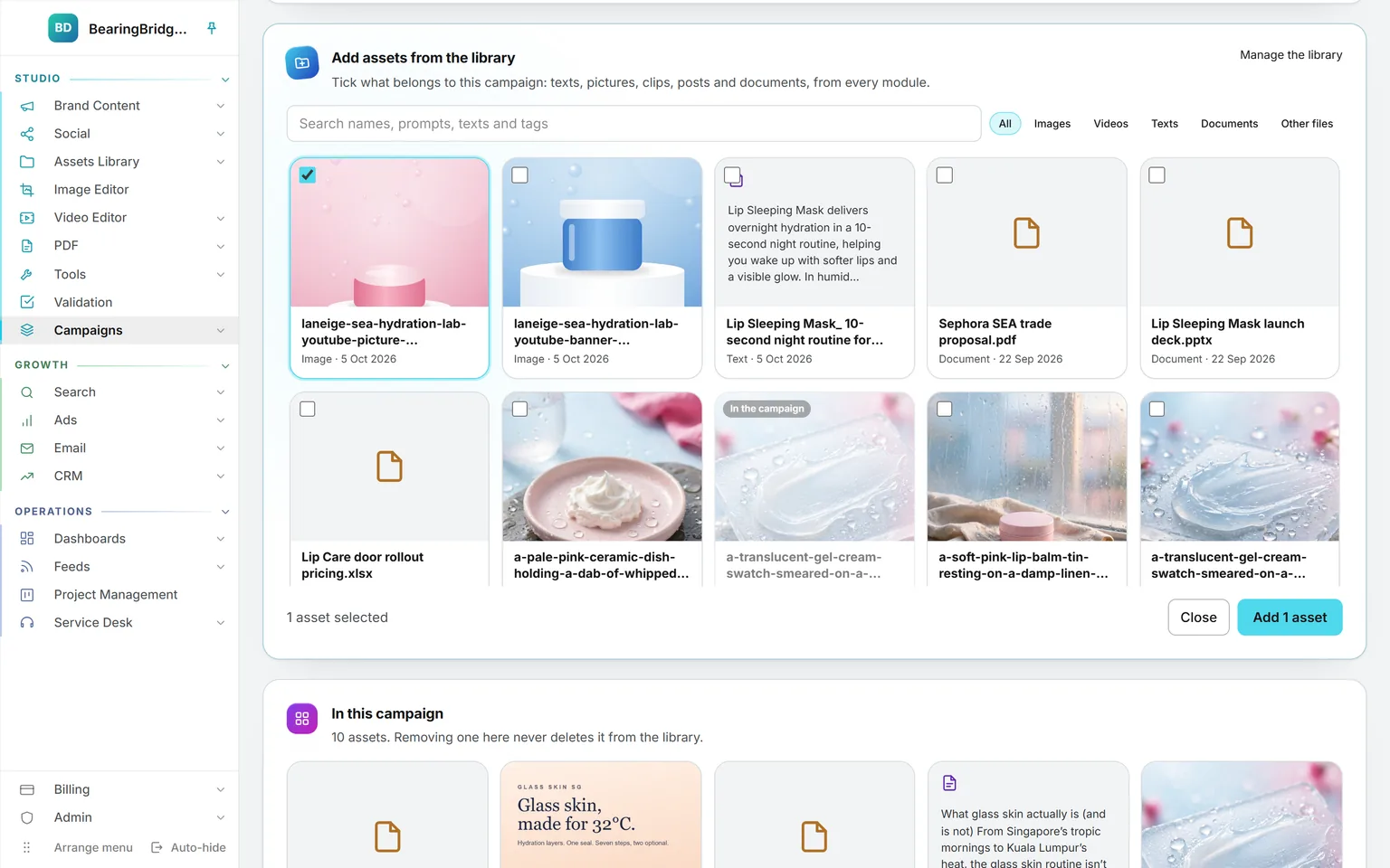 Add assets from the library open on a campaign: the search box, a filter per type, and assets of the library with one picture ticked and one already marked as in the campaign